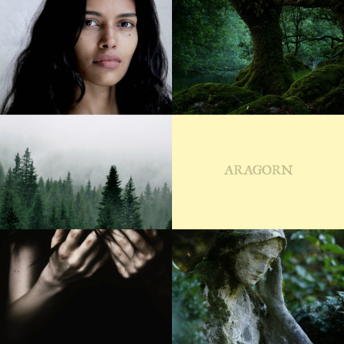 halfelves:Fem! AragornThen a great beauty was revealed in her, so that all who after came there look