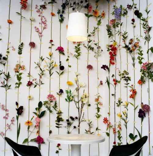 Dress up your walk with vertical flowers! You can stick these up with wall sensitive blue-tac/tape o