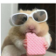 katerinered