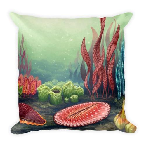 The Secret Garden Of Ediacara And The Origin Of Complex Life