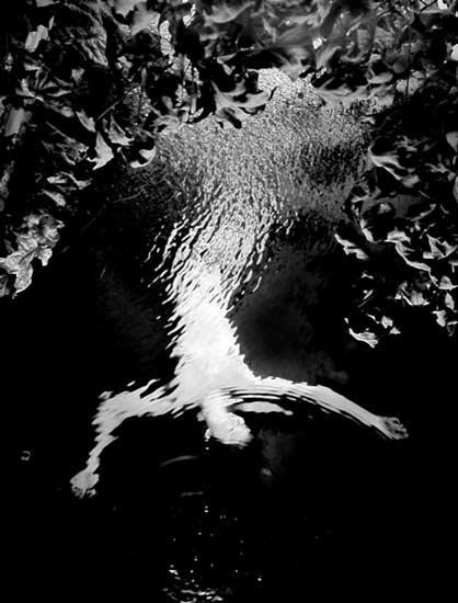 zeroing:  brian oglesbee 