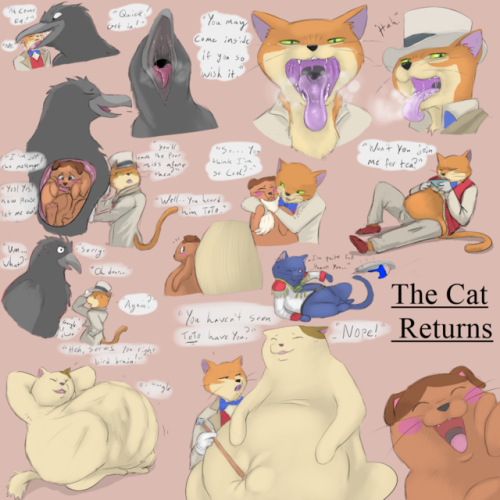 The Cat Returns Movie