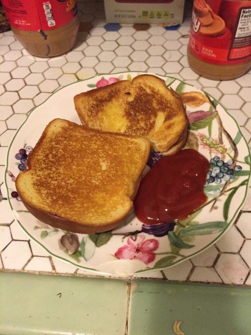sirlorence:  I bought spray butter for the sole purpose of making grilled cheese( because I always fuck up the bread when I try and spread butter on it), and honestly it was the best investment in my entire life.   grilled cheese and ketchup? what in