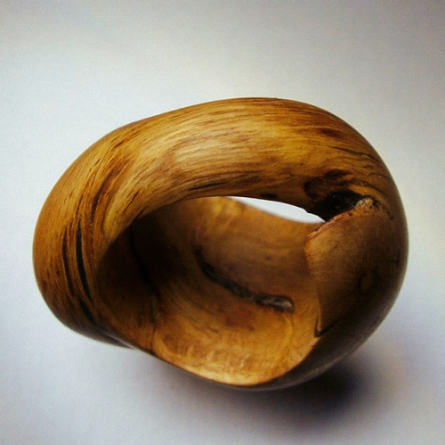 Rings grown on trees by the Green Wood WizardFrank Hyldahl, aka the Green Wood Wizard, is a craftsma