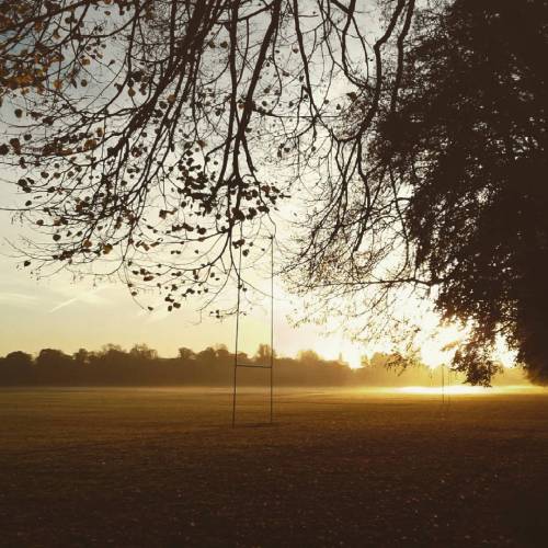 Sunrise over Pontcanna FieldsMy walk to work this morning was stunning