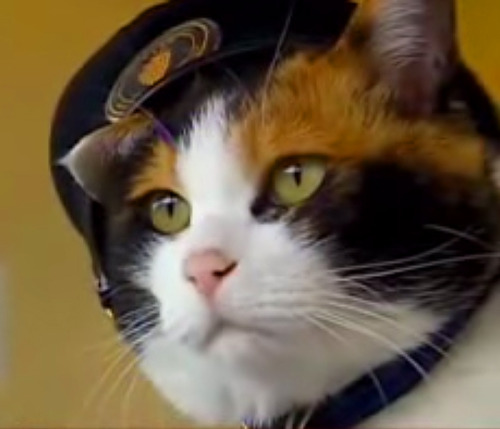 RIP Tama, the sweetest Stationmaster in Japan!!!