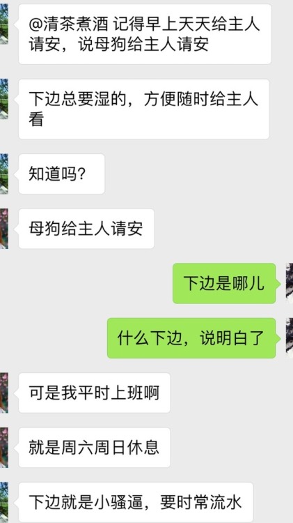 实时。母狗给主人找了个新狗，静静地看着老母狗调教新母狗。