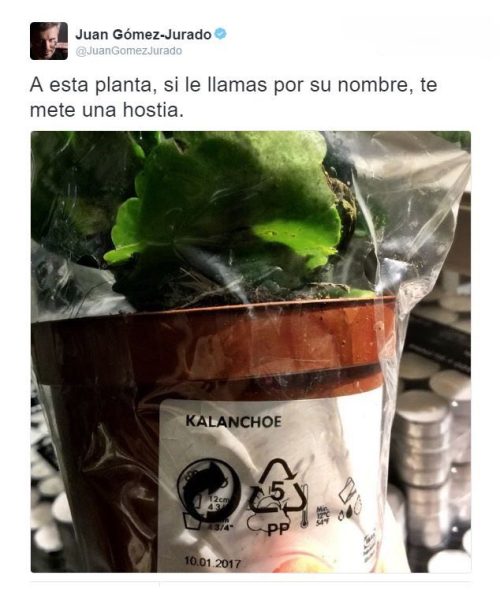 Follamos con Gordas