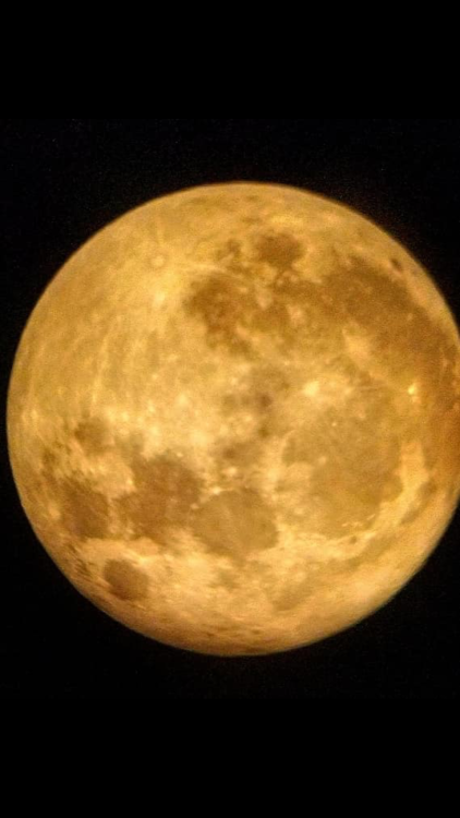 amvrleig:harvest full moon.cred. haylin etheridge via fb. 
