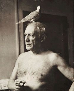 lynncinnamon:  Picasso with dove, Paris,