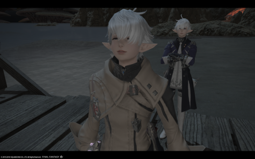 Alisaie And Alphinaud Leveilleur Explore Tumblr Posts And Blogs Tumgir