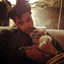 borntodieforovoxo:  Just Abel holding a baby tiger. Nbd. Carry on.