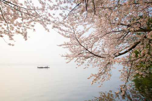 West lake, Hangzhou, China. X