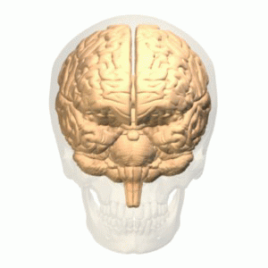 fenestra-ad-scientiam:  A new DARPA (Defense Advanced Research Projects Agency) program