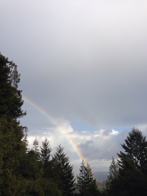 111111salud:  yesterday i saw this rainbow n almost immediately after fell down a  hill