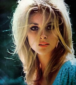  Sharon Tate 