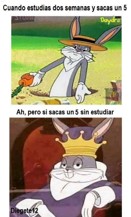 puta-mierda-de-vida:  XDDD  😂😂😂😂