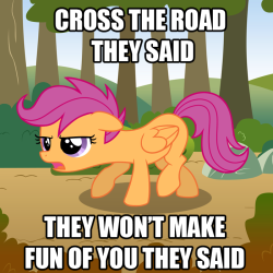 mylittlefilly:  Cross the Road They Said