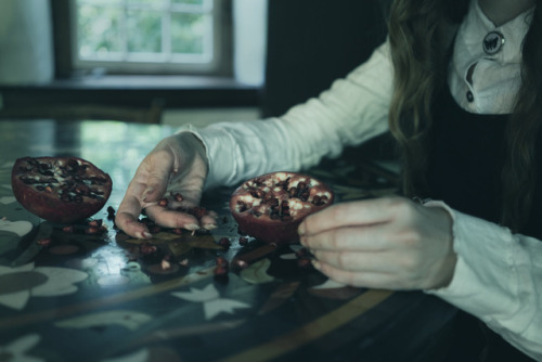 crystalleelucas:The Bleeding Pomegranate 