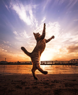 awwww-cute:  We can dance if we want to (Source: http://ift.tt/1MYyFph)