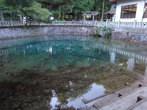 6rak1:  山口　弁天池 