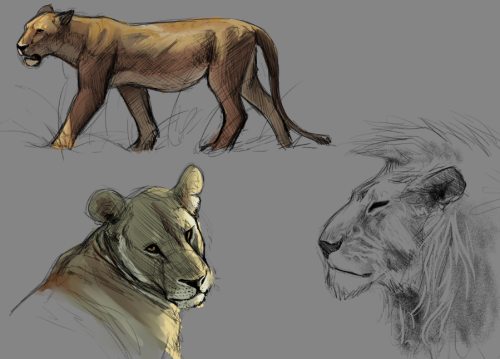 jackthevulture:Some more sketches from refs. Didnt use the eye dropper this time. I think im improvi