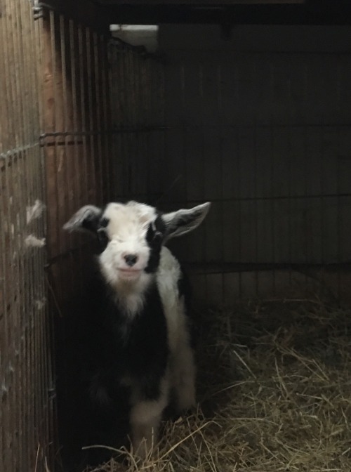 New year,new babies! 4 little ones born New Year&rsquo;s Eve and New Year&rsquo;s Day.