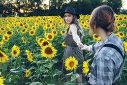 already-allie:  Frolicked in the sunflowers