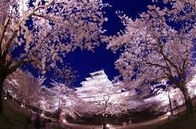 shinjihi:  Beautiful Japan 日本の美しい風景 