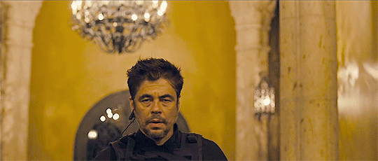 annedorvals:Benicio Del Toro in Sicario (2015)