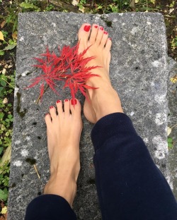 hippie-feet:  „Autumn is a second spring