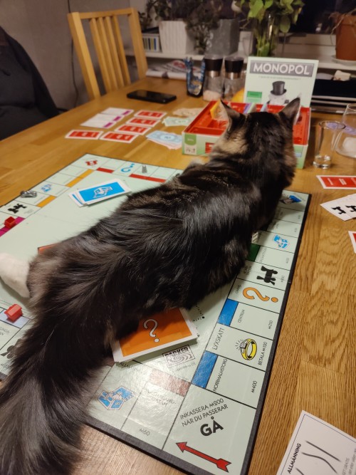Anybody Wanna Play Monopoly?