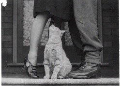 tumblr photo prettycocokitty 12