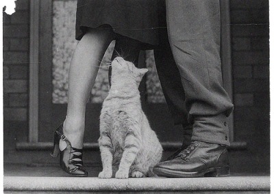 tumblr photo prettycocokitty 13
