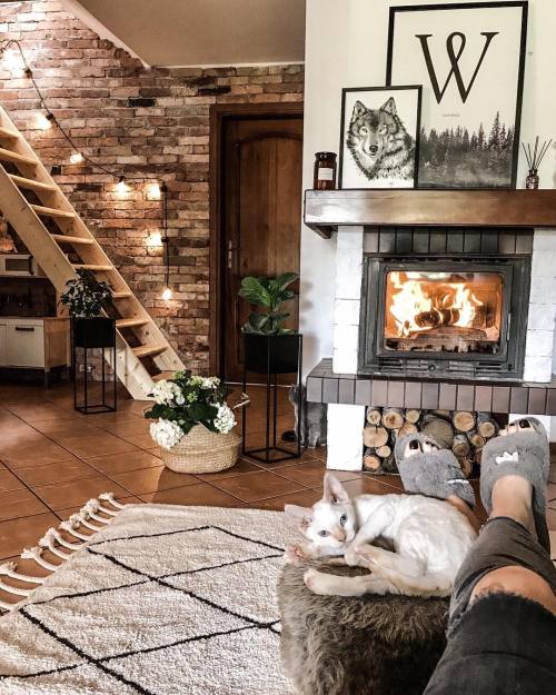 interior-design-home:Cozy with a cat by the side