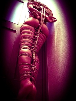 nawayoi:  My rope work.