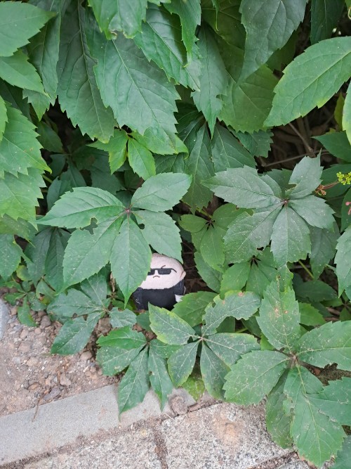 Playing Some Hide And Seek
