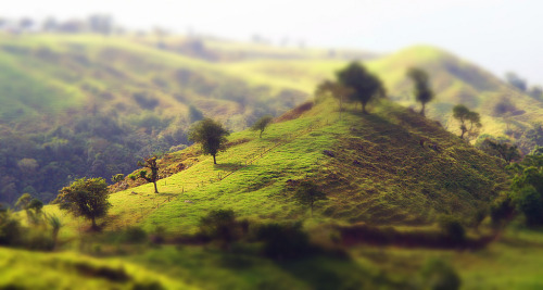 Rolling hills The mountains of Costa Rica run down the center of the country and are flanked by roll