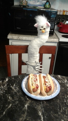 furbyfuzz: Today we are having… Hot Dog