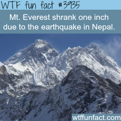 wtf-fun-factss:   Mt. Everest shrank one inch due to the Nepal earthquake - WTF fun facts 