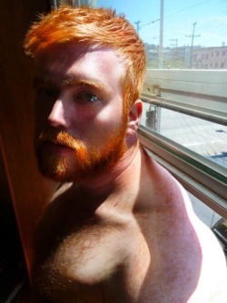 txguy25:  Thee fuckin hottest ginger guy