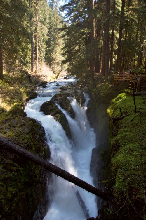 sexsavestheday: Another burst of nature porn. opticallyaroused:  Olympic National Park: One of the wildest places left in the USA Olympic National Park in Washington offers a bit of everything for nature lovers, hikers and adventurers like Pacific Ocean