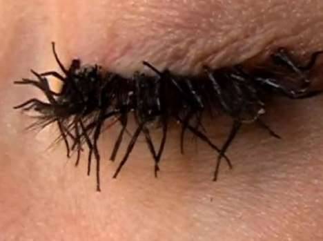boriskarlofficeparty:  juicymixtape: unexplained-events:  These eyelashes may seem