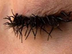 boriskarlofficeparty:  juicymixtape: unexplained-events:  These eyelashes may seem like they are heavily mascara-ed, but they are actually made of fly legs. This controversial statement is the work of artist Jessica Harrison.    