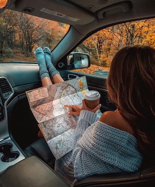 sapiofeline:  tilldeathdousart:     Road trips… 💕