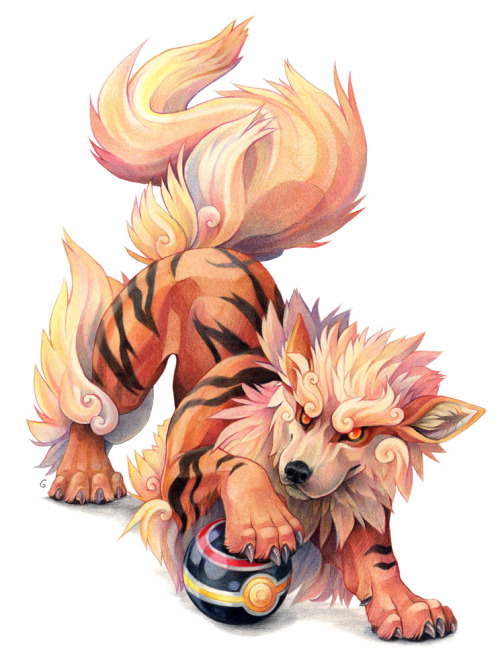 sushi-studios: Coloured pencil drawing of an Arcanine. Tryed to add a bit of fu-dog in the design.