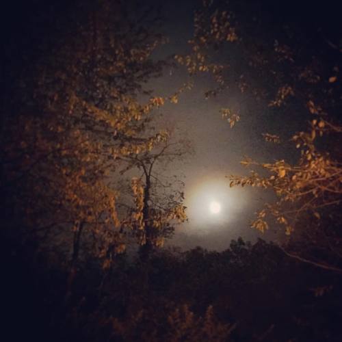 Just the moon being cool. #moon #moonlight #fttryon #washingtonheights #inwood #nyc #newyork #nature