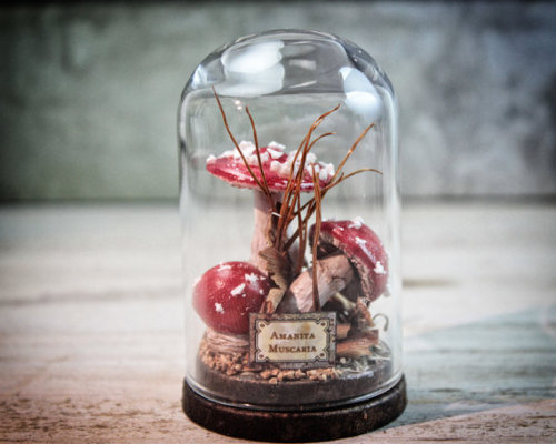 lesstalkmoreillustration: Handcrafted Sculptures in a Glass Bell Jars By Damnfrenchdesserts On Etsy   *More Things & Stuff    Want