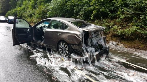 beesmygod:a truck full of hagfish overturned on highway 101 and covered everything with slime and ee