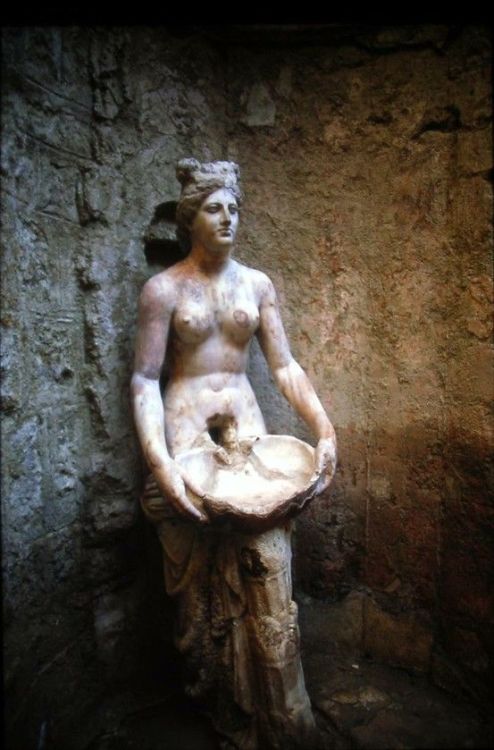 mythologyofthepoetandthemuse: The female womb as the fountain of life and the cup of immortality, an